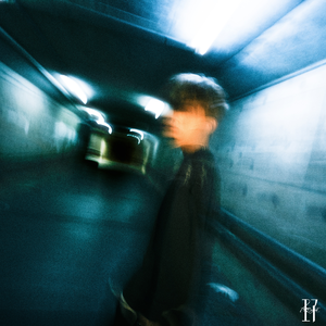 酒井千波无码破解版在线
