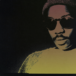 酒井千波无码破解版在线
