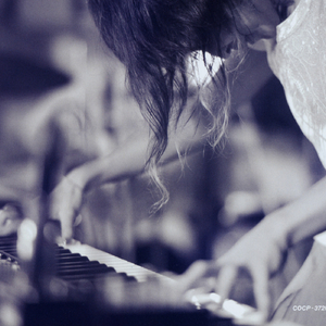 酒井千波无码破解版在线
