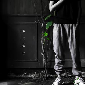 酒井千波无码破解版在线
