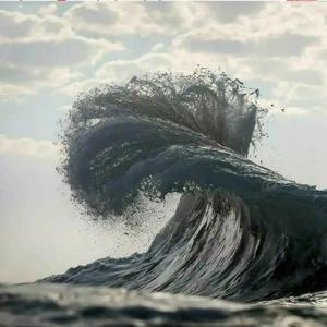 酒井千波无码破解版在线
