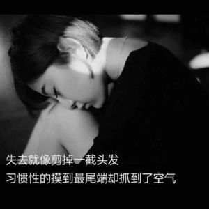 酒井千波无码破解版在线
