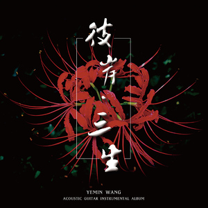 酒井千波无码破解版在线
