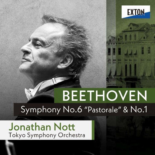 酒井千波无码破解版在线
