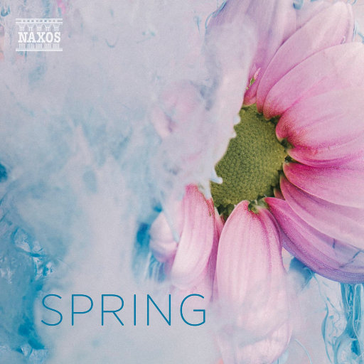 酒井千波无码破解版在线
